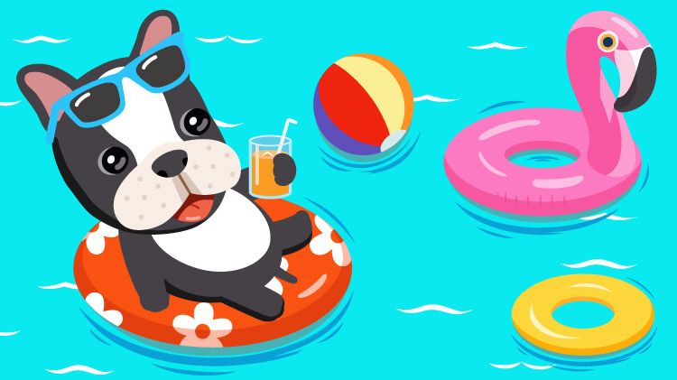 Pooch Plunge
