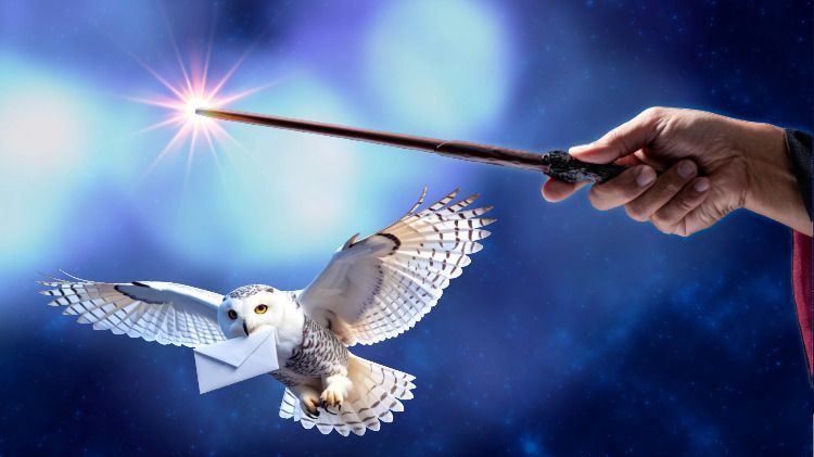 Harry Potter Dinner